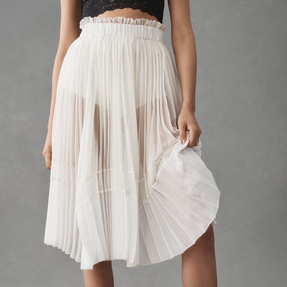 Let Me Be pleated A-line sheer skirt from Anthropologie
